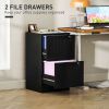 2 Drawer Filing Cabinet with Lock, Office Storage Cabinet with Adjustable Hanging Bars for A4 Letter Size Files, Black