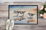Sandpipers Doormat Front Door Mat Indoor Outdoor Rugs for Entryway, Non Slip Washable Low Pile, 24H X 36W